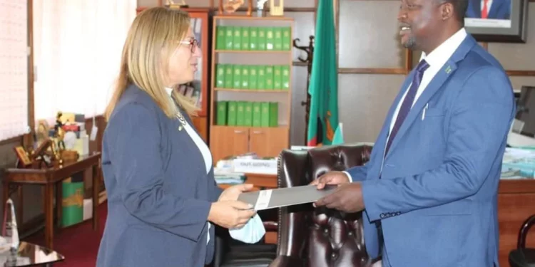 La embajadora de Israel en Zambia es asaltada delante de sus guardaespaldas