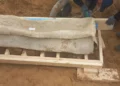 Hallan un sarcófago de la época romana en Franja de Gaza