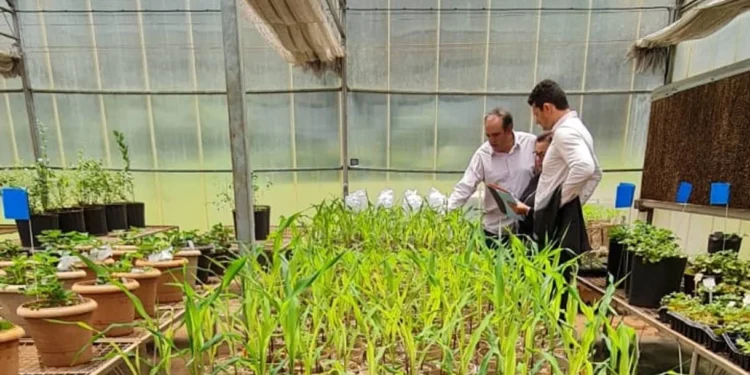Empresa israelí propone una alternativa natural a los fertilizantes tóxicos para los cultivos