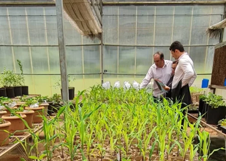 Empresa israelí propone una alternativa natural a los fertilizantes tóxicos para los cultivos