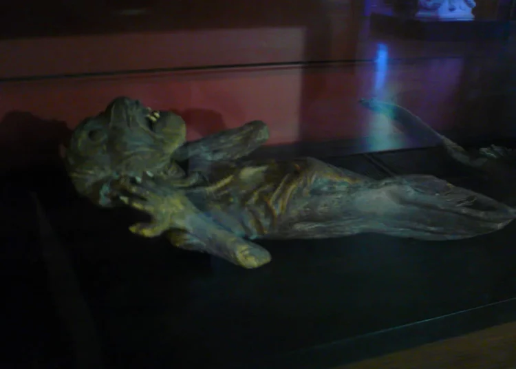 La venerada momia “sirena” hallada en Japón es un maniquí hecho con peces