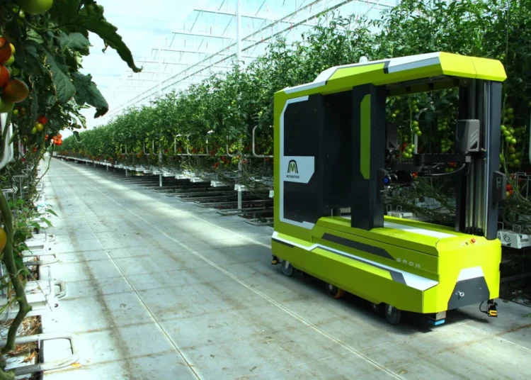 Empresa israelí desarrolla robot con IA para recoger tomates autónomamente