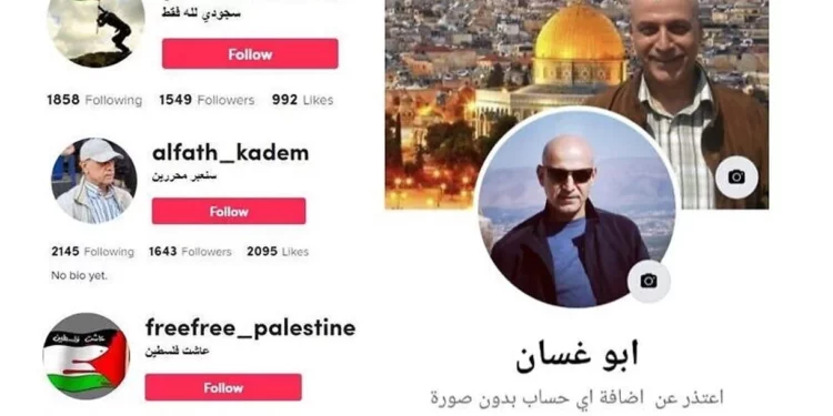 Shin Bet: Un libanés intentó reclutar palestinos para el terrorismo a través de TikTok