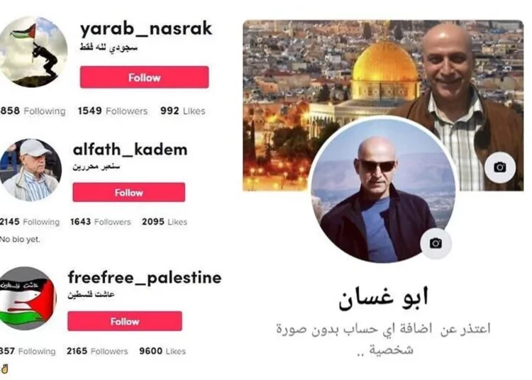Shin Bet: Un libanés intentó reclutar palestinos para el terrorismo a través de TikTok