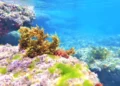 La tecnología israelí de las “superalgas” produce compuestos naturales y medicinas a partir del mar