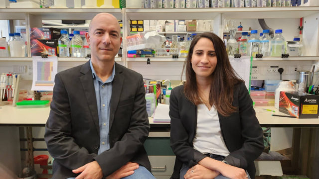 La Universidad Hebrea descubre cómo se propaga el cáncer de páncreas