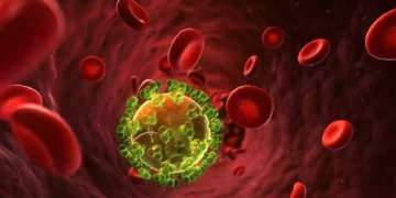 El VIH se cura con células madre extraídas del cordón umbilical - Estudio