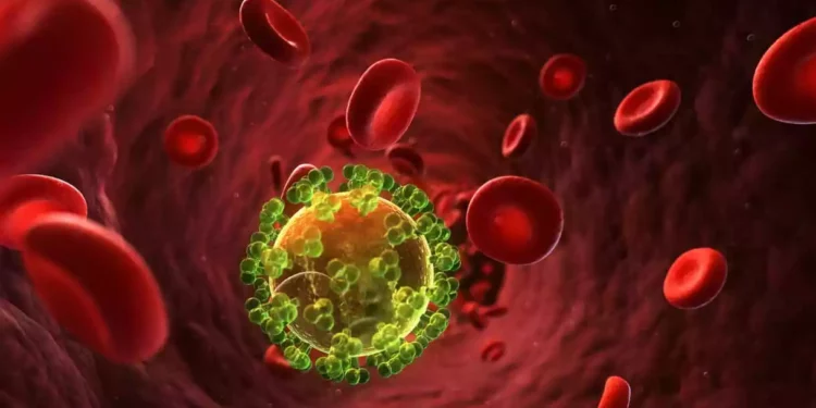 El VIH se cura con células madre extraídas del cordón umbilical - Estudio