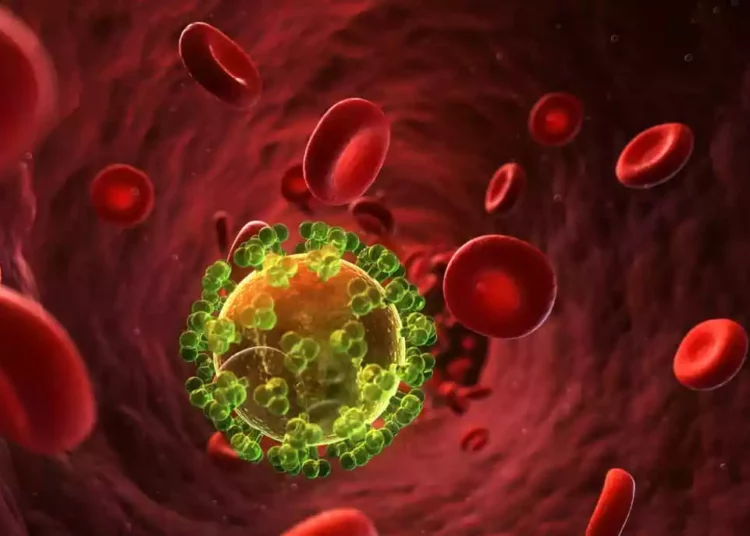 El VIH se cura con células madre extraídas del cordón umbilical - Estudio