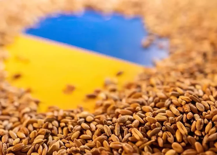 Russia expands Black Sea grain deal