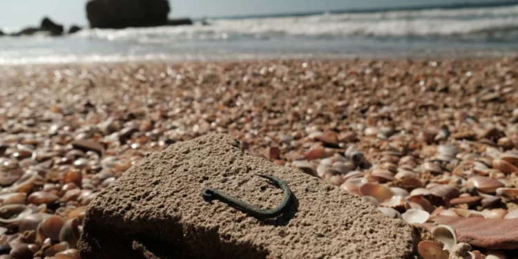 Descubren en Ashkelon un anzuelo de pesca de cobre de 6.000 años de antigüedad