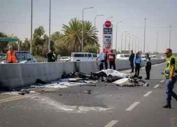 Dos personas mueren al estrellarse su avioneta en una autopista del sur