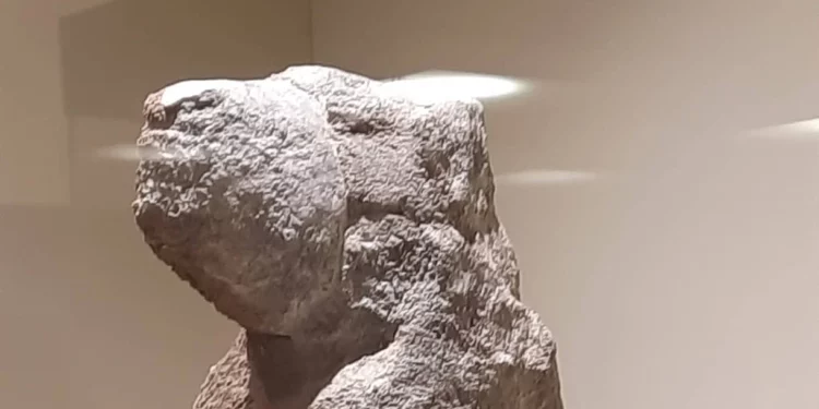 Desentierran 2.000 cabezas de carnero momificadas del antiguo Egipto