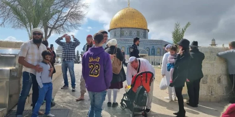 Purim en el Monte del Templo: Récord de visitantes judíos este año