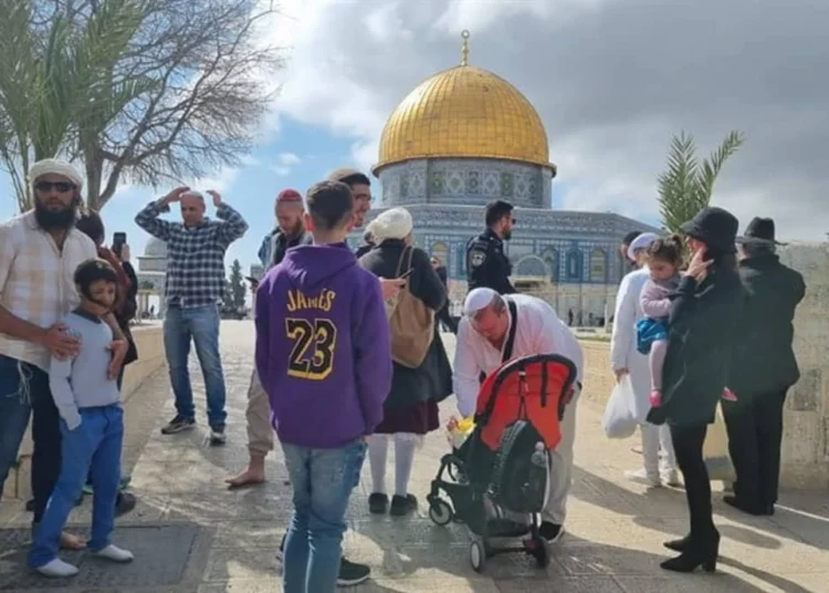 Purim en el Monte del Templo: Récord de visitantes judíos este año