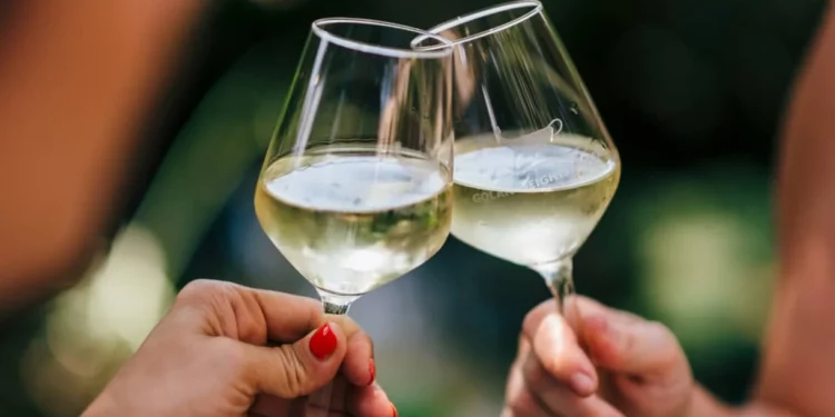 12 fantásticas rutas de cata de vinos en Israel