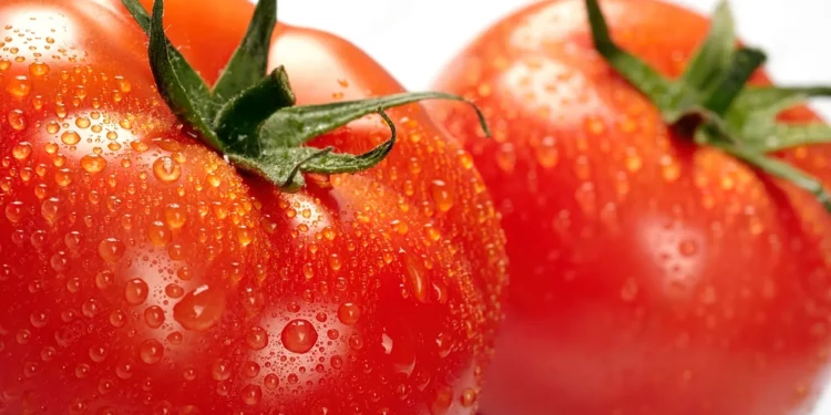 El spray israelí Sufresca alarga la vida de frutas y verduras