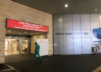 Fallece un niño ahogado en una piscina familiar en el sur de Israel