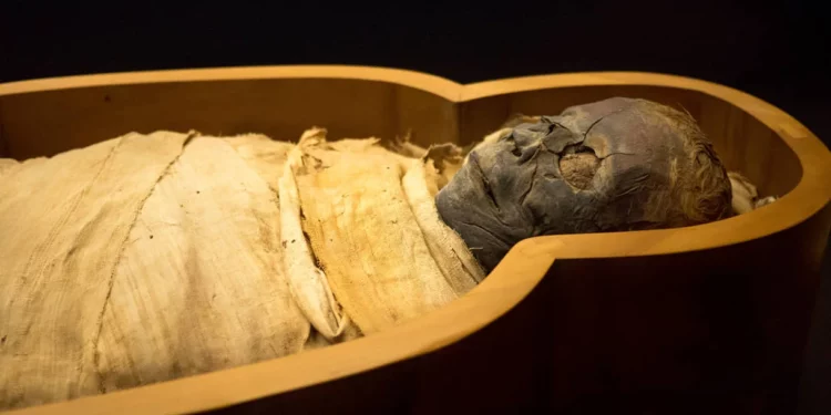 Las momias egipcias revelan el clima de la era romana