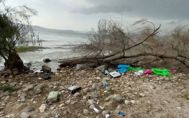 Adolescente herida por árbol caído en Mar de Galilea