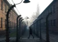WWE se disculpa tras usar imagen de Auschwitz en promoción de combate