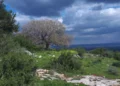 UNESCO reconoce ruta de senderismo en reserva biosférica en Israel