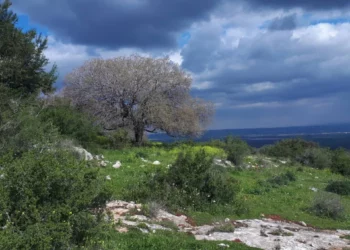 UNESCO reconoce ruta de senderismo en reserva biosférica en Israel