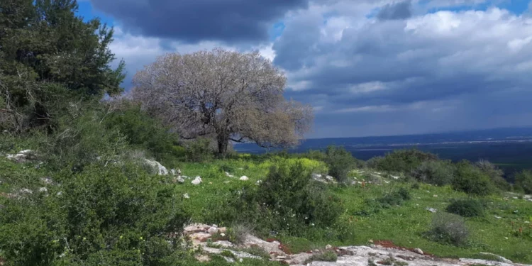 UNESCO reconoce ruta de senderismo en reserva biosférica en Israel