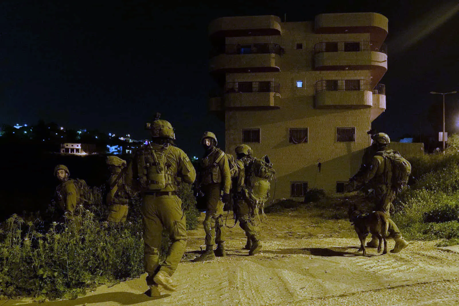 Islamista palestino abatido tras atacar con explosivo a tropas israelíes en Judea y Samaria