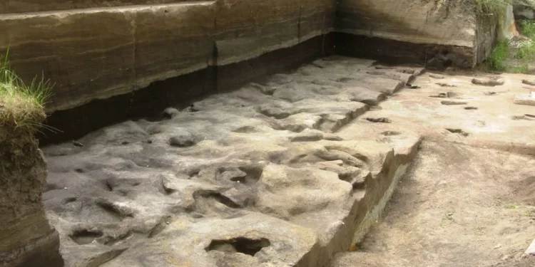 Arqueólogos descubren huellas de humanos de hace 300.000 años en Alemania