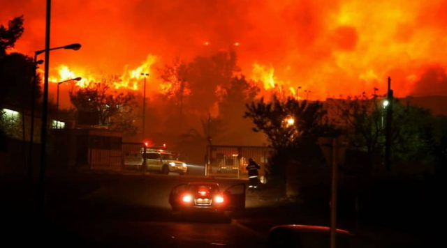 Prevención de incendios forestales en Israel: un esfuerzo conjunto
