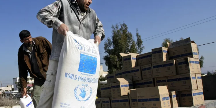 ONU recortará 60 % de comida gratis para “refugiados palestinos”