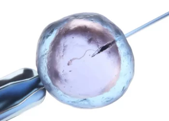 Posible Confusión de Embriones en la Clínica Assuta: Preocupación por Fecundaciones in Vitro
