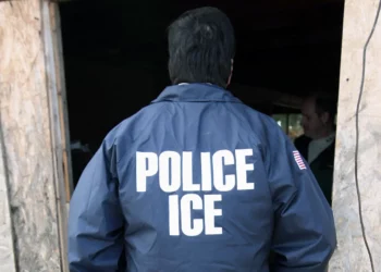 Humorista israelí deportado de EE. UU. por tuit reportado a la ICE