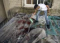 Tropas israelíes matan a dos palestinos tras ataque islamista