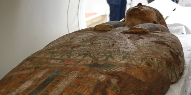 Avances tecnológicos en medicina revelan los secretos de los ataúdes del Antiguo Egipto