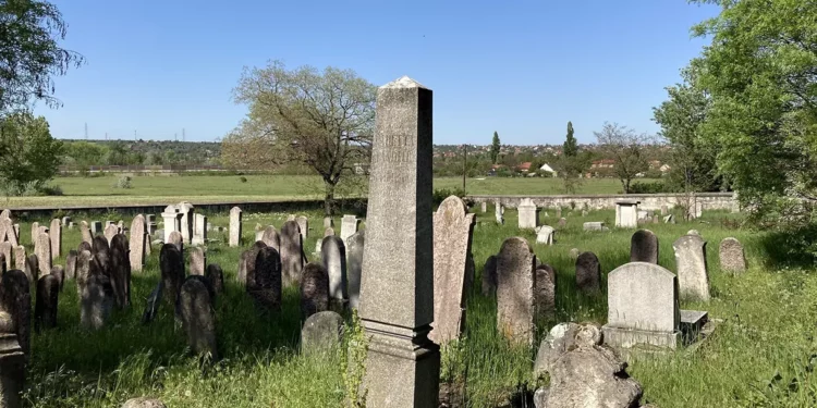 Una ciudad lituana se compromete a preservar un antiguo cementerio judío que pretendía excavar