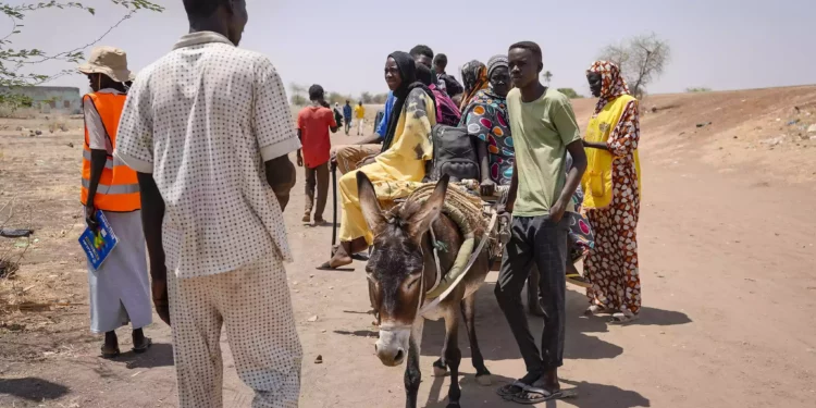 Conflicto en Sudan ha desplazado a más de dos millones de personas
