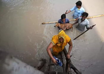 38 israelíes inubicables tras fuertes inundaciones en la India