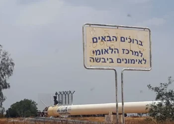 Oficial FDI muere por caída de contenedor en base del sur de Israel