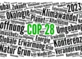 Desacuerdos en G20 para una acalorada COP28