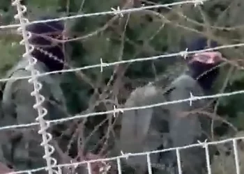 Terroristas armados de Hezbolá recorren la frontera israelí