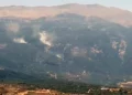 Cohete lanzado desde el Líbano a Israel: FDI responde