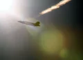 ¿El F-35 israelí fue alcanzado por un misil ruso?