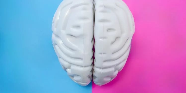 Las células cerebrales de hombres y mujeres responden de forma diferente al estrés