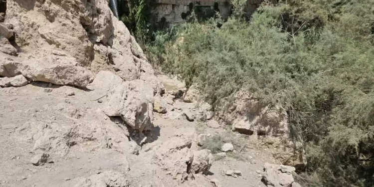 Niño de 5 años muere en derrumbe de rocas cerca del mar Muerto