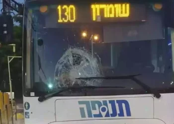 Uno de los autobuses fue impactado por una piedra
(Rescatistas Sin Fronteras Judea y Samaria)