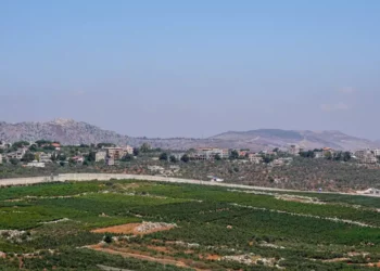 Operativo de Hezbolá lanza bomba incendiaria a Israel