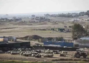 Gobierno israelí trabaja para trasladar aldeas Beduinas ilegales
