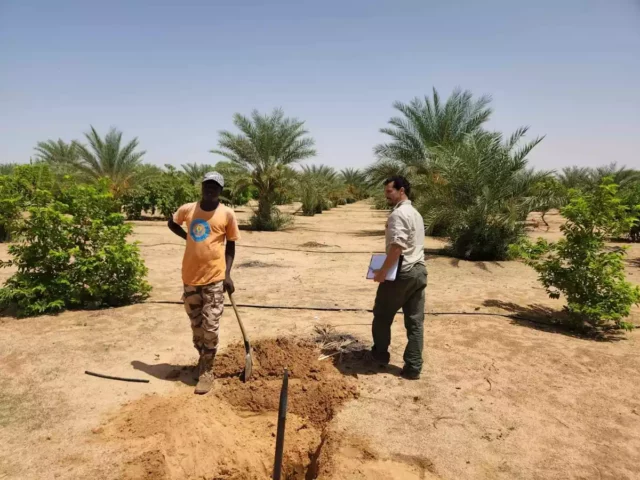Delegación israelí combate la desertificación en Chad